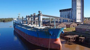 En octubre, ingresaron más de 2.400 millones de dólares por la exportación de granos y subproductos. En octubre, ingresaron más de 2.400 millones de dólares por la exportación de granos y subproductos.