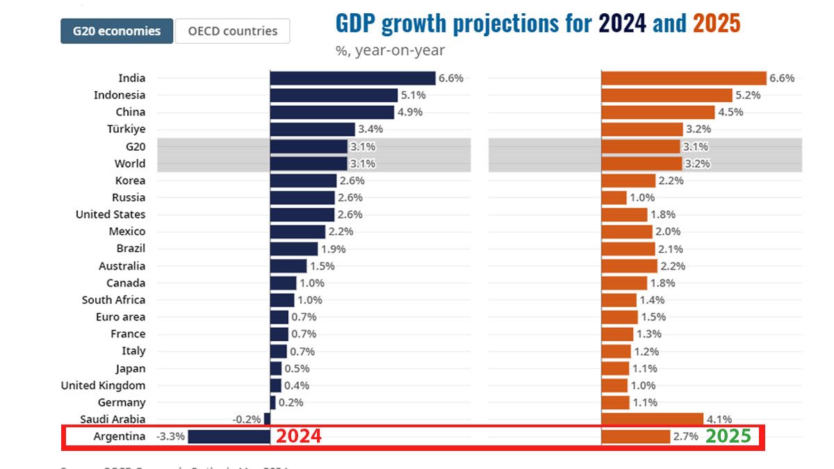 La OCDE prevé una caída del 3,3% del PBI para este año y un repunte del 2,7% para 2025. En su informe económico mundial, destacó la baja de la inflación y el programa fiscal de Javier Milei. (Foto: OCDE)