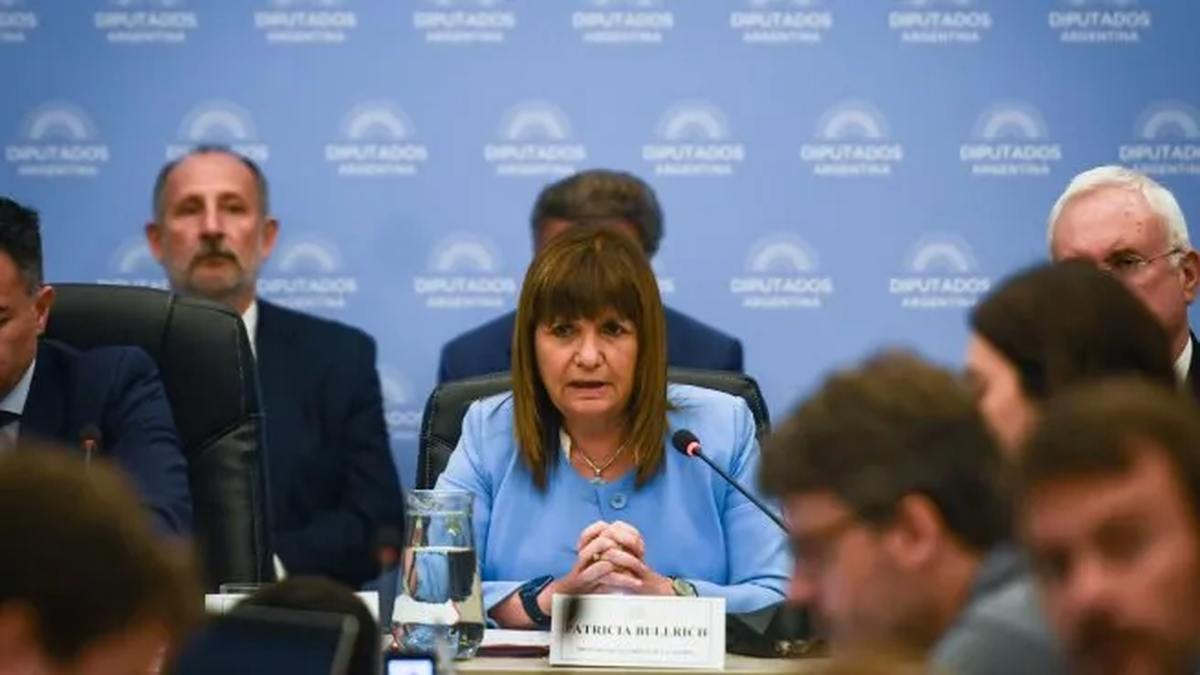 Patricia Bullrich creó el bloque PRO-Libertad en la Legislatura bonaerense. (Foto: archivo)