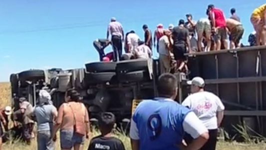 Vecinos enloquecidos: volcó un camión y desató una caótica y masiva faena de vacas