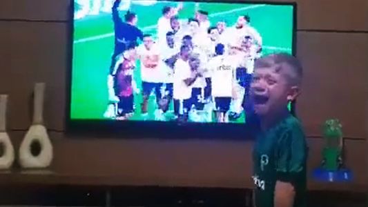 El llanto desconsolado de un nene hincha de Palmeiras tras la eliminación contra Paranaense