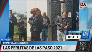 Las perlitas a la hora de votar en las escuelas