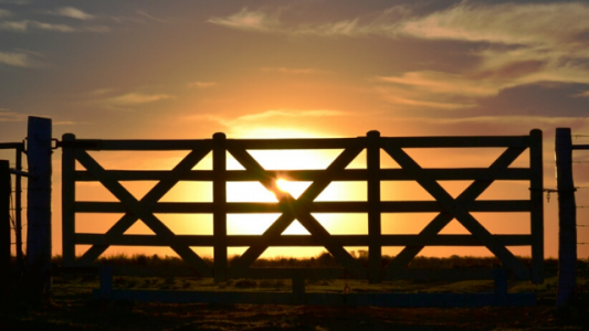 La cuarentena paralizó la actividad inmobiliaria rural: se registró el peor nivel en 8 años