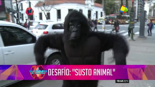 Como un gorila y a los gritos, Dante se lució en un particular desafío