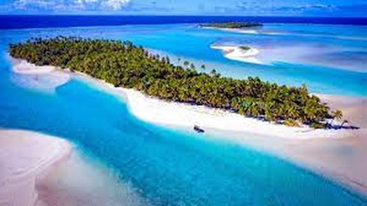 Los aforismos de José Narosky: No es sólo lo caminado. Es haber tenido los ojos abiertos