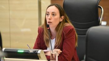Renata Ghilotti presentó el proyecto en el Concejo Deliberante de Rosario (Foto: archivo). Renata Ghilotti presentó el proyecto en el Concejo Deliberante de Rosario (Foto: archivo).