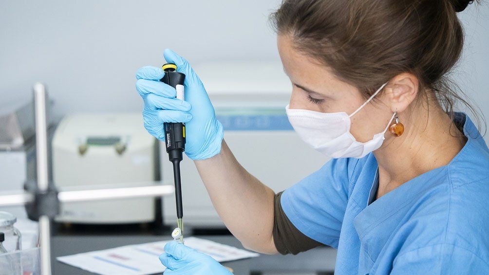 Covid-19: las personas con grupo sanguíneo A podrían tener una mayor probabilidad de infectarse.