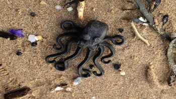 El 13 de febrero de 1997, el buque de carga Tokio Express, con destino a Nueva York, fue arrastrado por una fuerte tormenta a 32 km de la costa de Land’s End. Sesenta y dos de sus contenedores cayeron al agua, incluido uno que contenía casi cinco millones de piezas de Lego. El 13 de febrero de 1997, el buque de carga Tokio Express, con destino a Nueva York, fue arrastrado por una fuerte tormenta a 32 km de la costa de Land’s End. Sesenta y dos de sus contenedores cayeron al agua, incluido uno que contenía casi cinco millones de piezas de Lego.