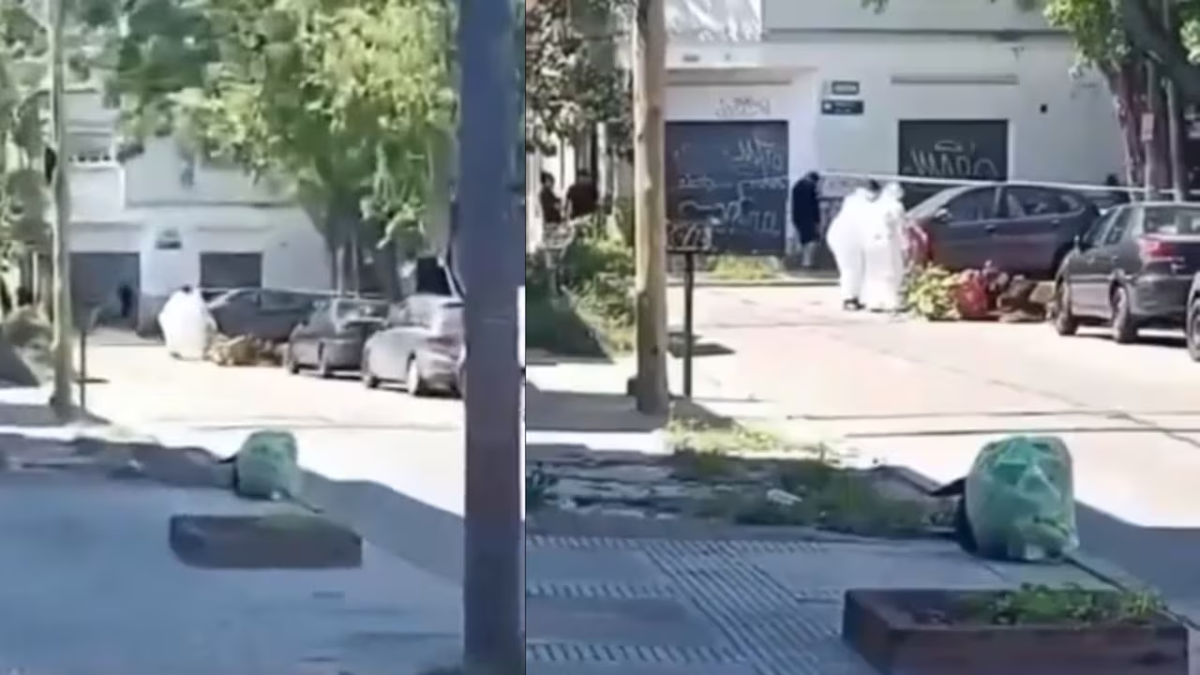 Escalofriantes detalles de un vecino sobre los restos mutilados que aparecieron en un bolso: Es la cabeza y...