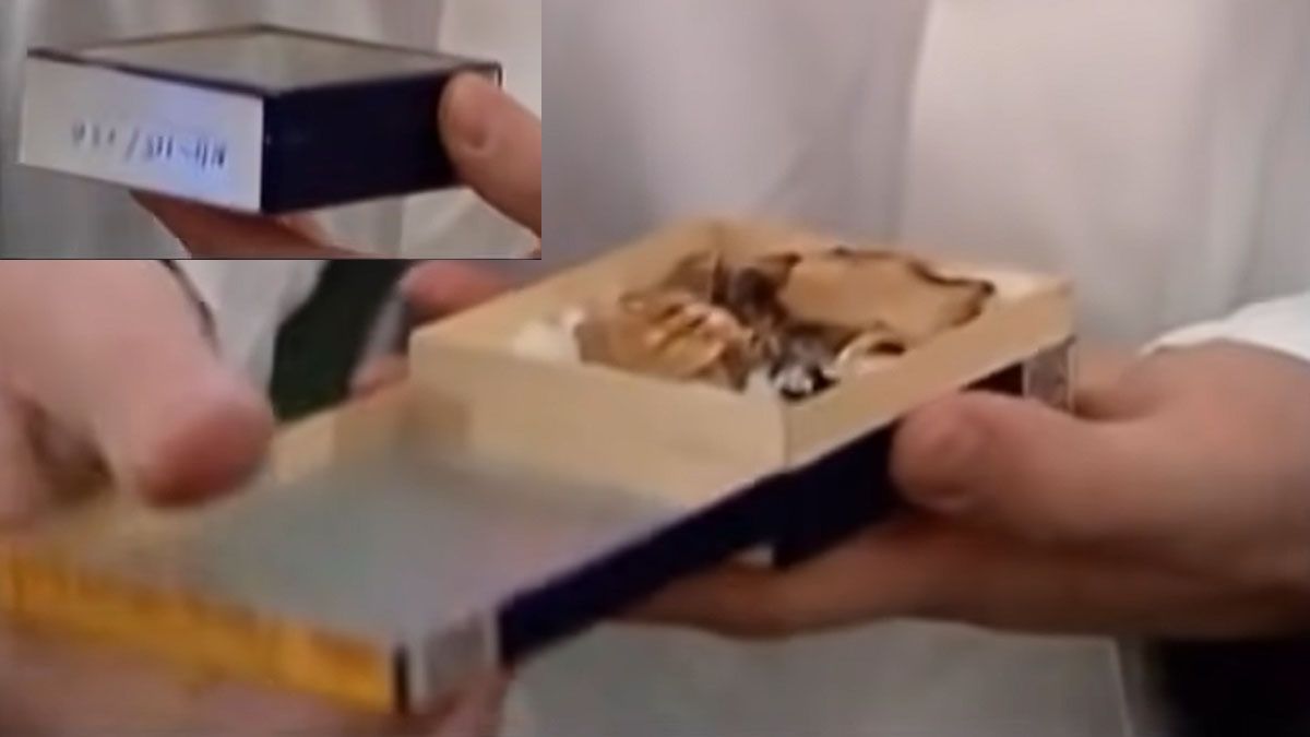 La pequeña caja que guardó en secreto durante décadas la dentadura de Adolf Hitler (Foto: captura de TV).
