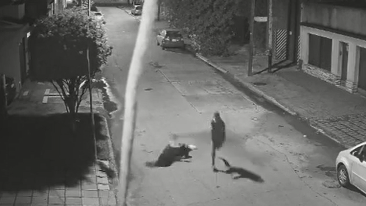 El momento en el que lamujer policía es tirada al piso. (Foto: captura)