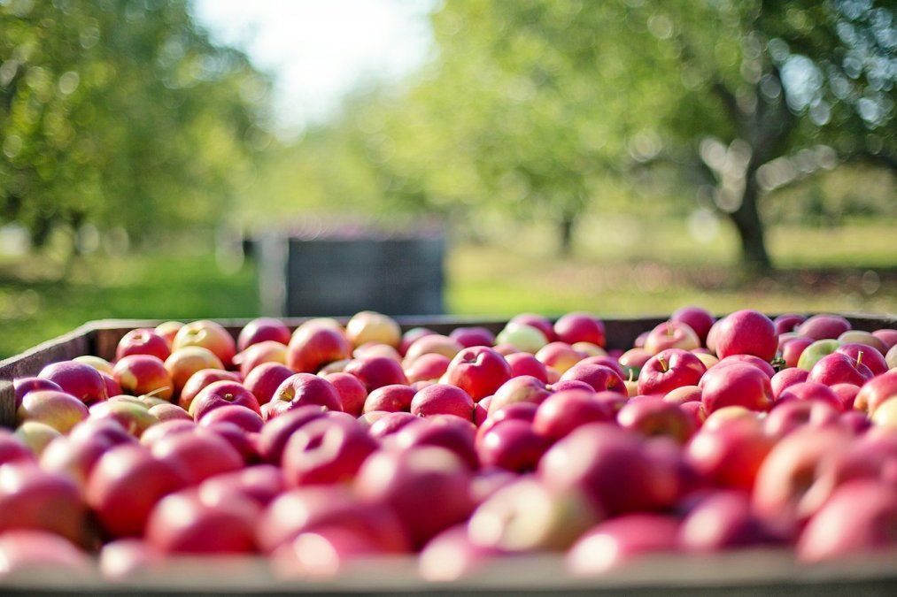 Los precios entre los distintos puntos de la cadena agroalimentaria muestra una brecha a veces desmedida.&nbsp;