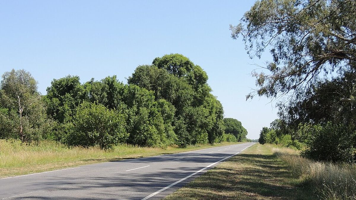 Dos hermanos murieron junto a un tercer hombre cuando una camioneta los atropelló mientras intentaban cambiar una rueda en la Ruta Provincial 65. (Foto: archivo)