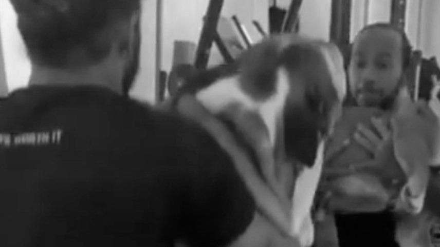 Hamilton y un entrenamiento increíble con su perro para mantenerse en forma