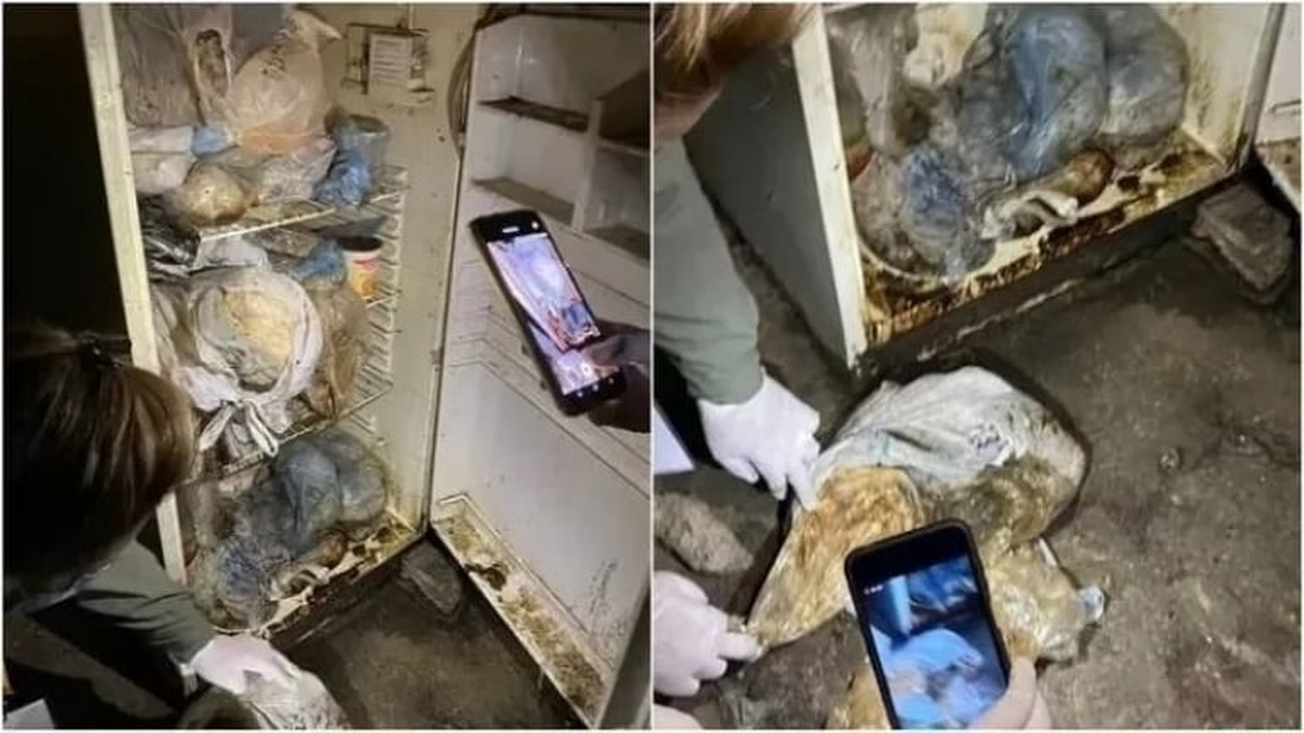 Repugnante: mataba perros y gatos, y guardaba sus restos en la heladera
