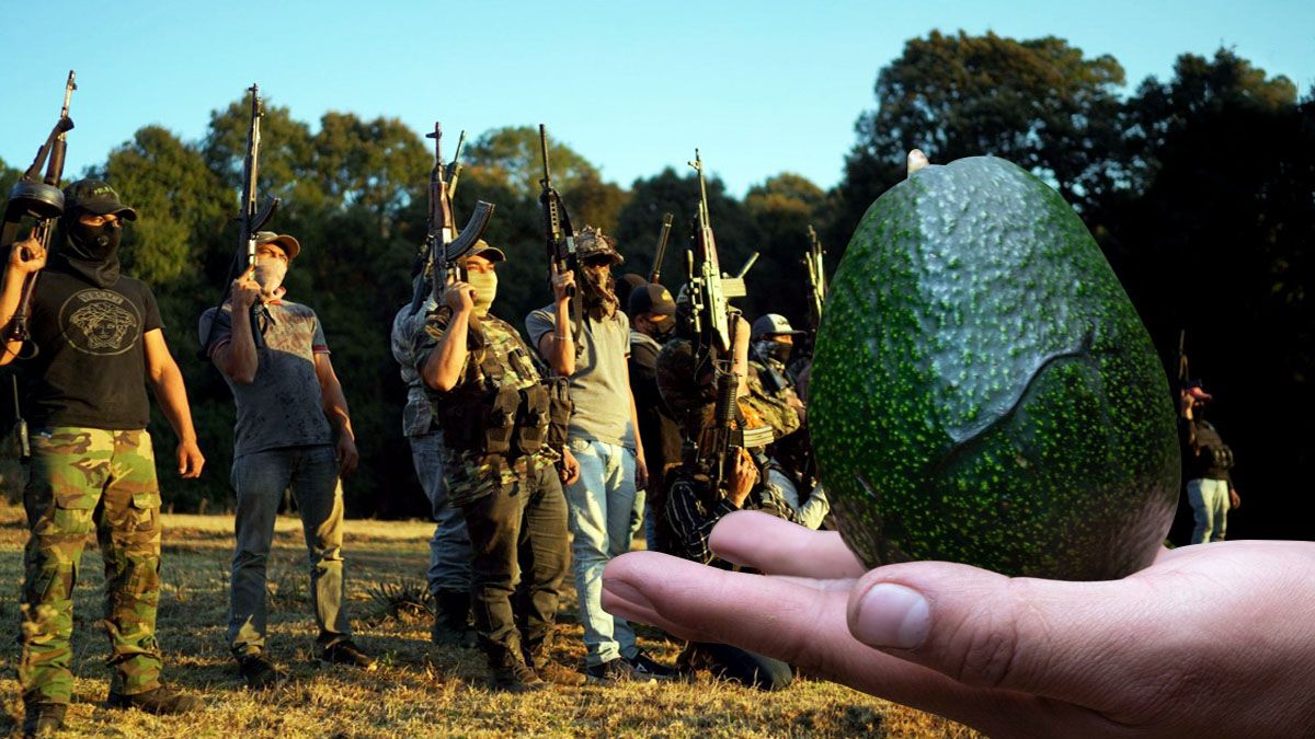 El cartel de Michoacán, controla gran parte del negocio legal de la exportación de palta (