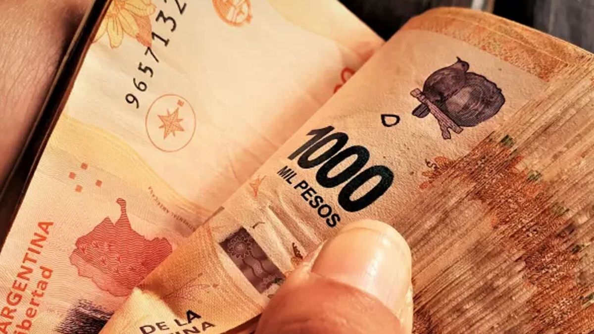 PLAZO FIJO en la era Milei: cuánto gano depositando $300 mil por mes con la nueva tasa