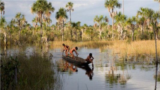 La agroindustria destruye el mayor territorio indígena del Amazonas