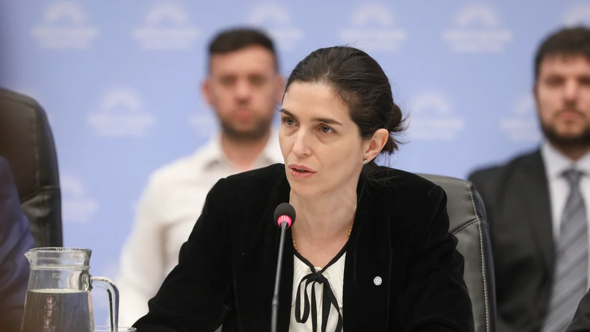 Yanina Nano Lembo en Diputados defendió el presupuesto de su cartera. (Foto: NA)