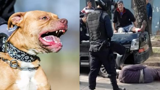 Terror por un pitbull suelto y enloquecido: vecinos heridos y disparos de la policía