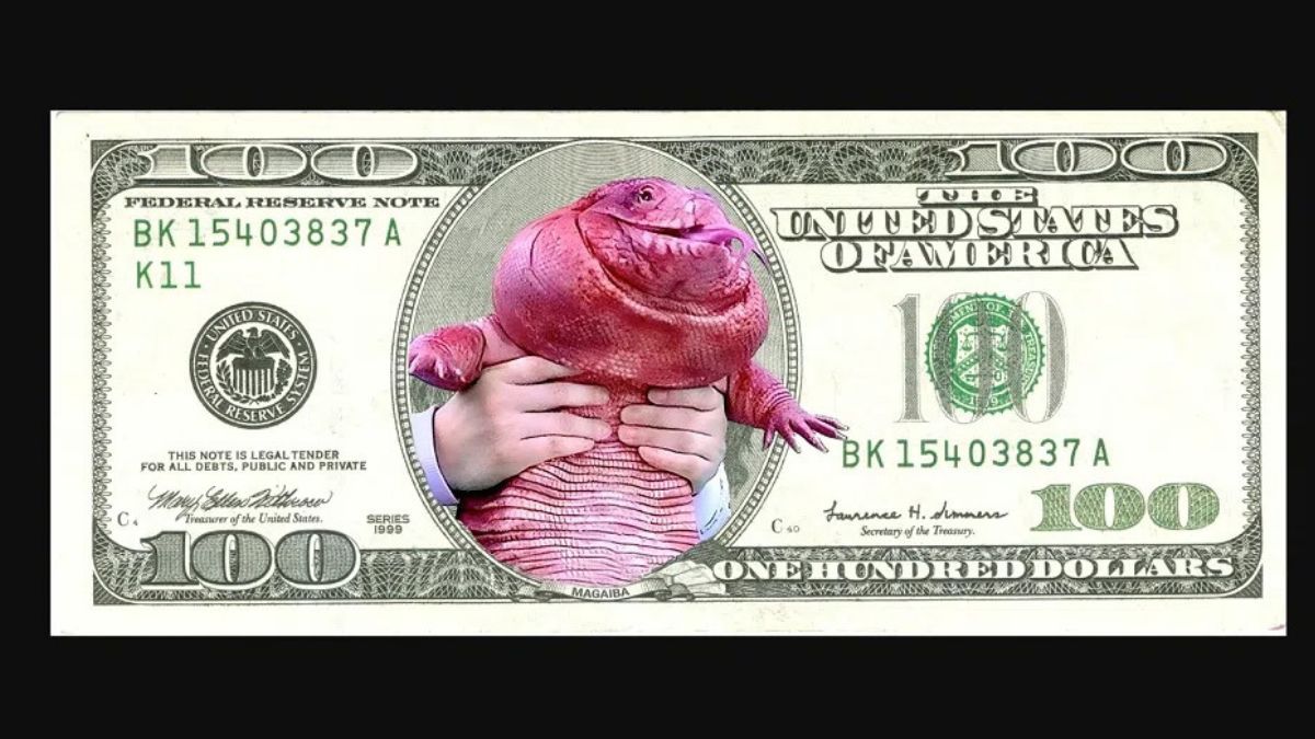 Memecoin: en un principio