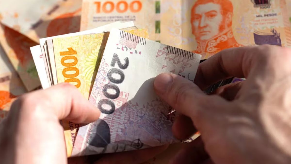 PLAZO FIJO en la era Milei: cuánto gano depositando $50 mil por mes con la nueva tasa (Foto: archivo)