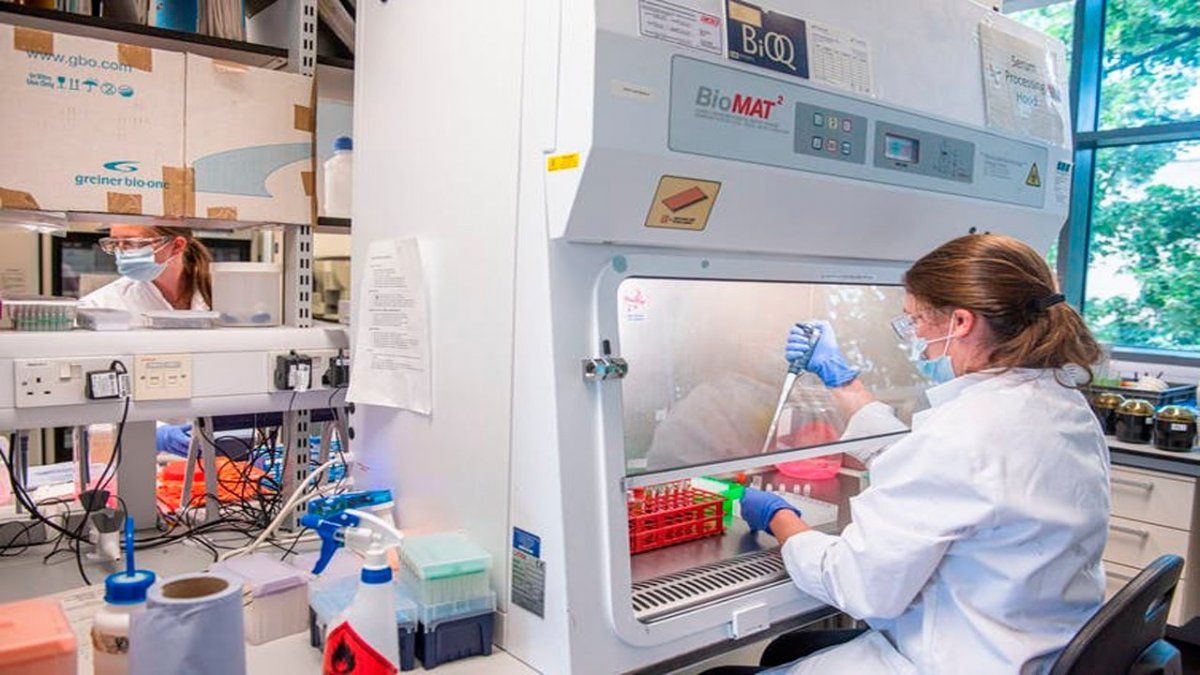 Confirman la llegada de la vacuna de Oxford-AstraZeneca a Argentina: serán 580 mil dosis en febrero