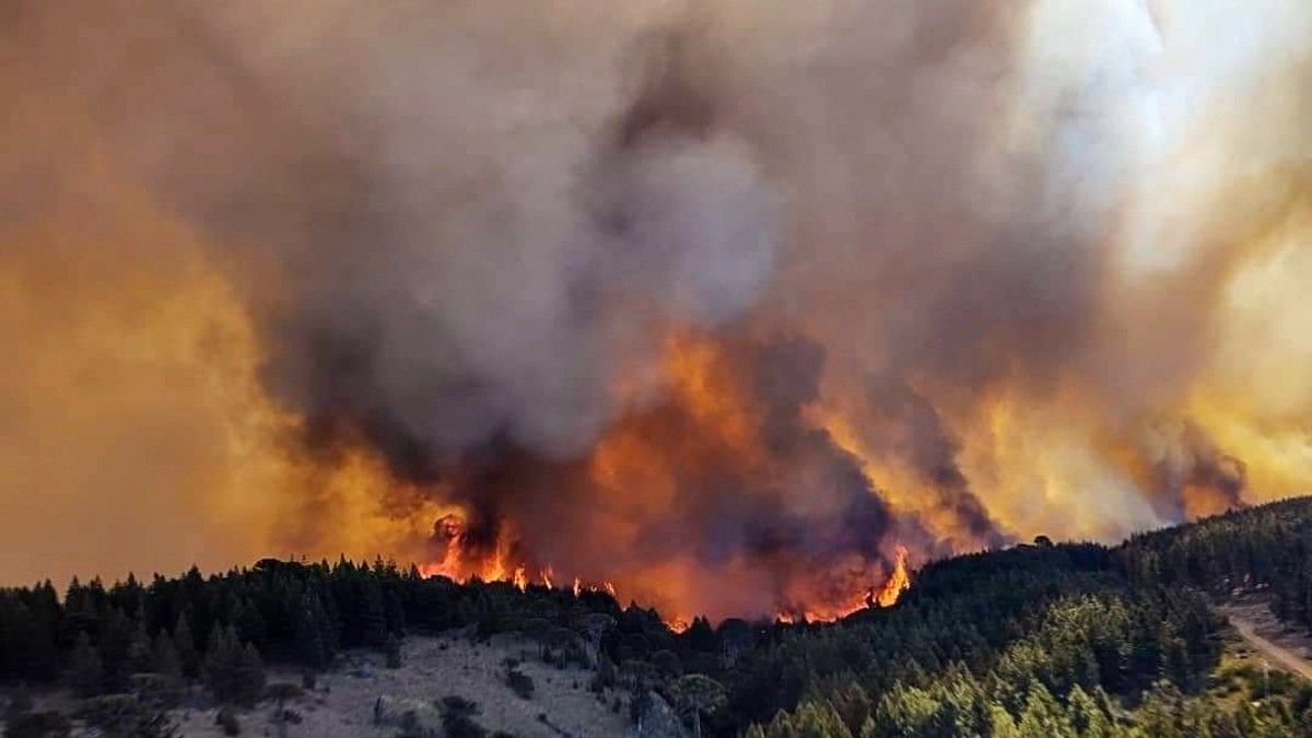 Incendios forestales. El siniestro ocurrió este miércoles en la provincia de Neuquén.&nbsp;