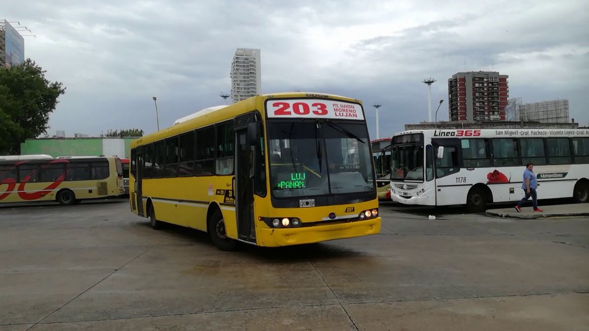 El servicio de los colectivos en Provincia se normalizará durante el transcurso del día (Foto: NouvoBus)