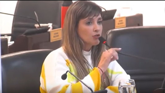 Cecilia eligió a esa familia: la desafortunada frase de una diputada chaqueña