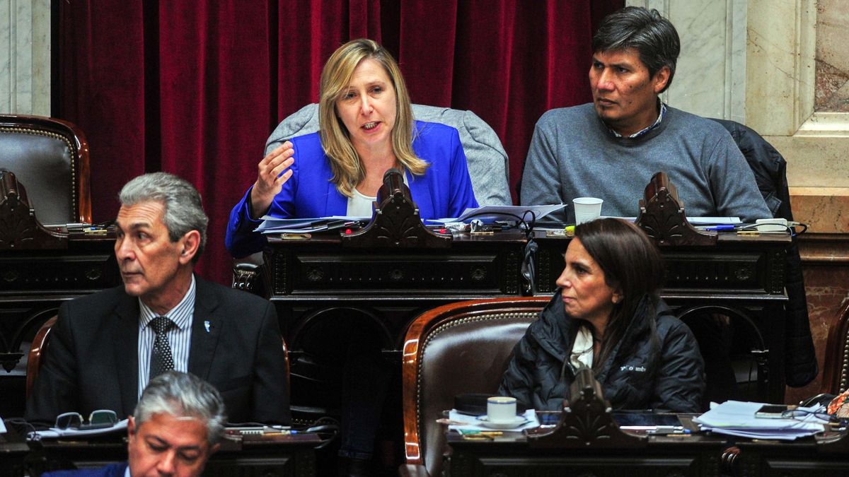 Myriam Bregman apoyó la quita del impuesto a las Ganancias. (Foto: Télam)