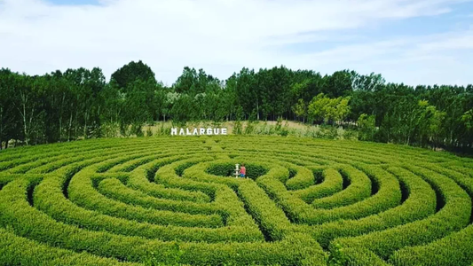 Significado de los sueños:  ¿Soñás con laberintos? Esto revela sobre tus emociones internas