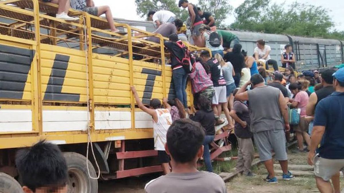 La gente se acercó al camión jaula para faenar las vacas tras la embestida del tren al camión (Foto portal El Liberal)