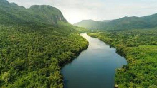 ¿Qué es el Acuerdo ambiental de Escazú que entró en vigencia y por qué es importante para los argentinos?