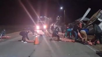 Video: así saquearon un camión con más de 20 kilos de carne que volcó en San Luis