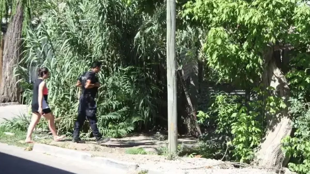 Estaba desaparecido