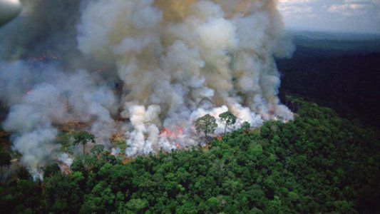 Macron alertó por el incendio en el Amazonas: Nuestra casa está ardiendo