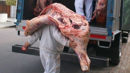 El fin de la media res: cómo son los medios mecánicos que impulsan los matarifes como alternativa al troceo