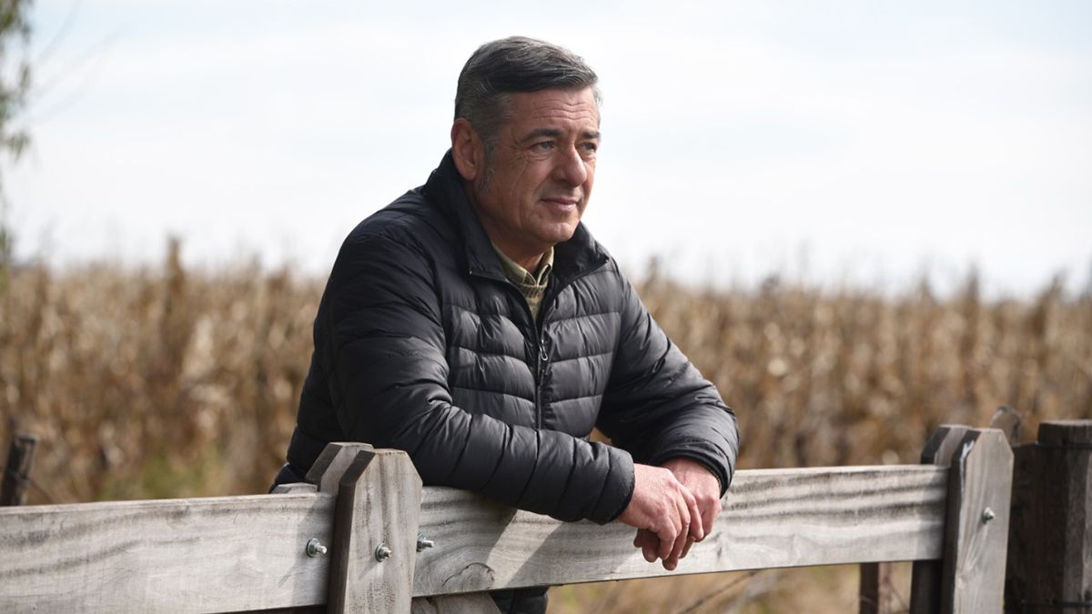 Nicolás Pino, presidente de la Sociedad Rural Argentina. 
