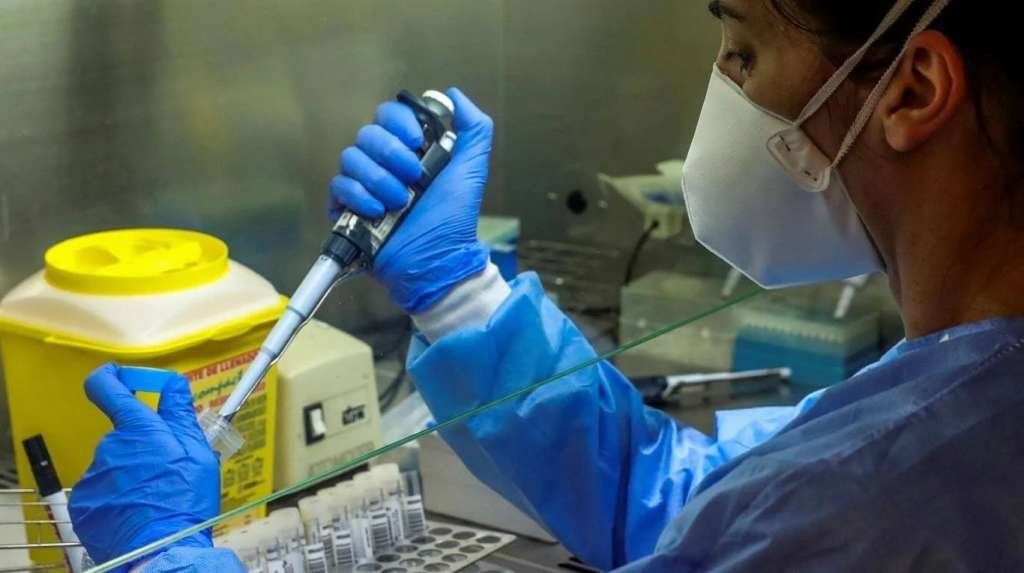 Por primera vez lograron fotografiar el coronavirus que circula por Argentina