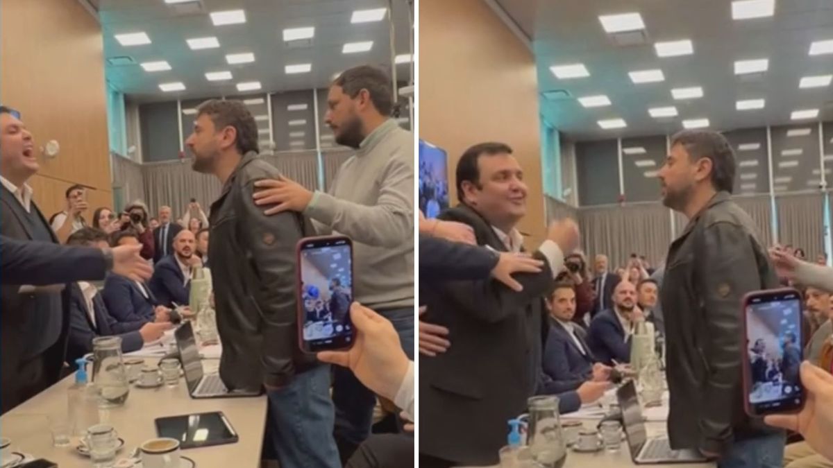 La discusión del proyecto de Defensa de la Soberanía de Malvinas derivó en un fuerte enfrentamiento entre legisladores de la oposición y del oficialismo. (Foto: captura de pantalla)