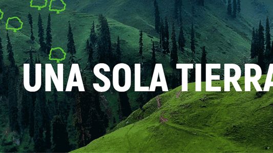 Día de la Tierra: Por qué se celebra y el alarmante dato sobre la pérdida de bosques en la Argentina