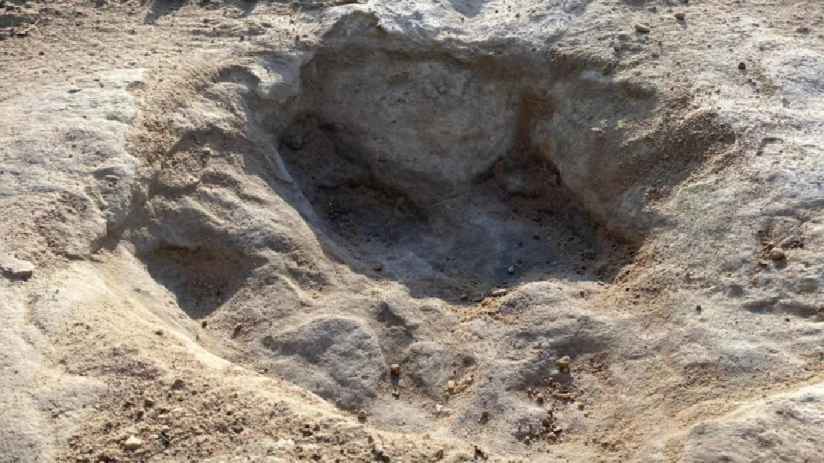 Encontraron huellas de dinosaurios con marcas de piel y garras en Río Negro (Foto: CONICET)