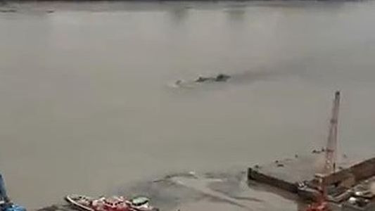 Un video demuestra que el misterioso monstruo del lago Ness se mudó a Londres