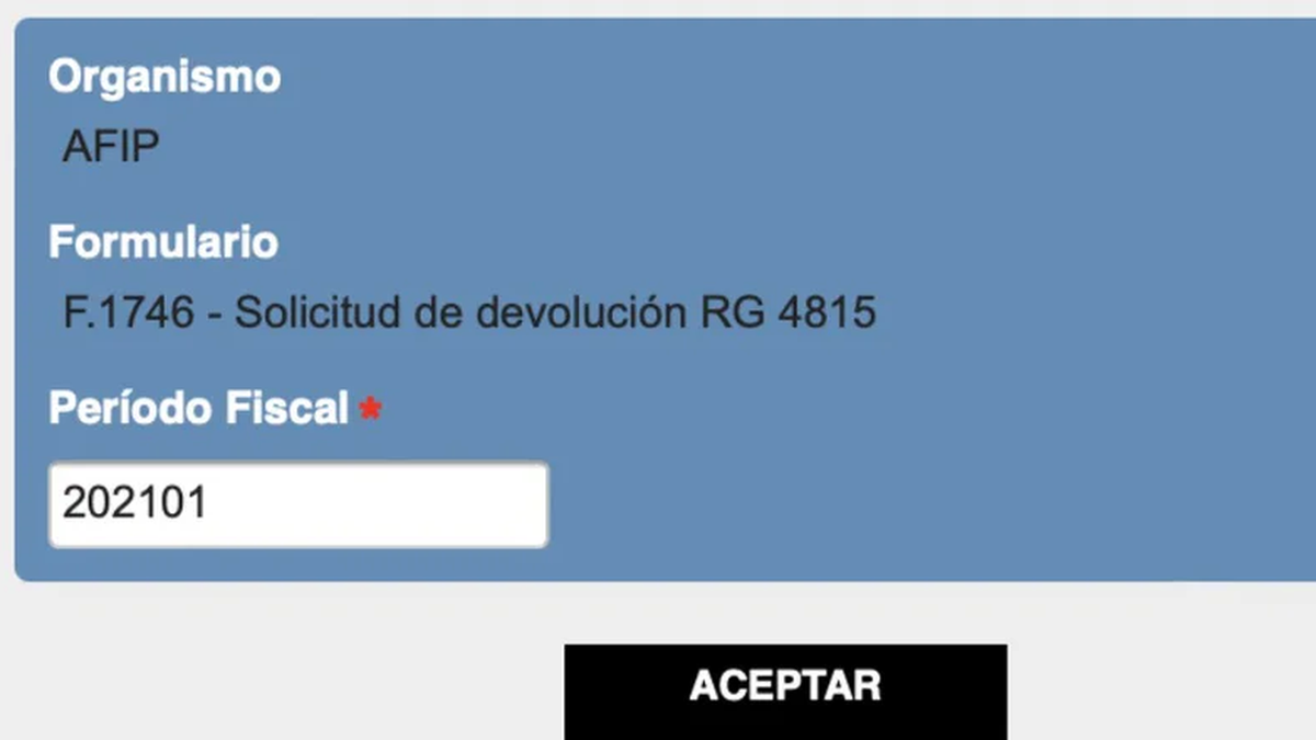 Así se ve el ingreso al formulario online de la AFIP