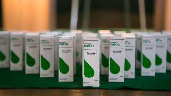 Cannabis medicinal: cómo es el complejo biotecnológico más grande del país y cuándo llegaría a las farmacias