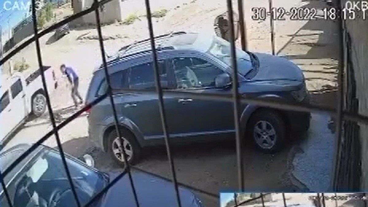 El momento en que el hombre ataca a animal. Foto: captura de video.&nbsp;