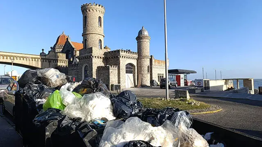 El macabro hallazgo en un contenedor de basura de Mar del Plata