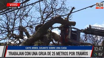 Lo que dejó el temporal de ráfagas de viento en San Isidro. (Captura de Tv) Lo que dejó el temporal de ráfagas de viento en San Isidro. (Captura de Tv)