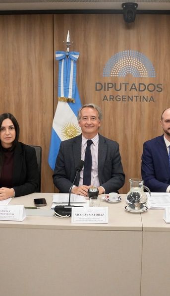 El Gobierno aceptó restituir los límites a la venta de tierras y logró dictamen para la ley de Propiedad Privada